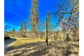 Additional image 50 of 470 S Meadow Ln, Hayfork, CA, 96041