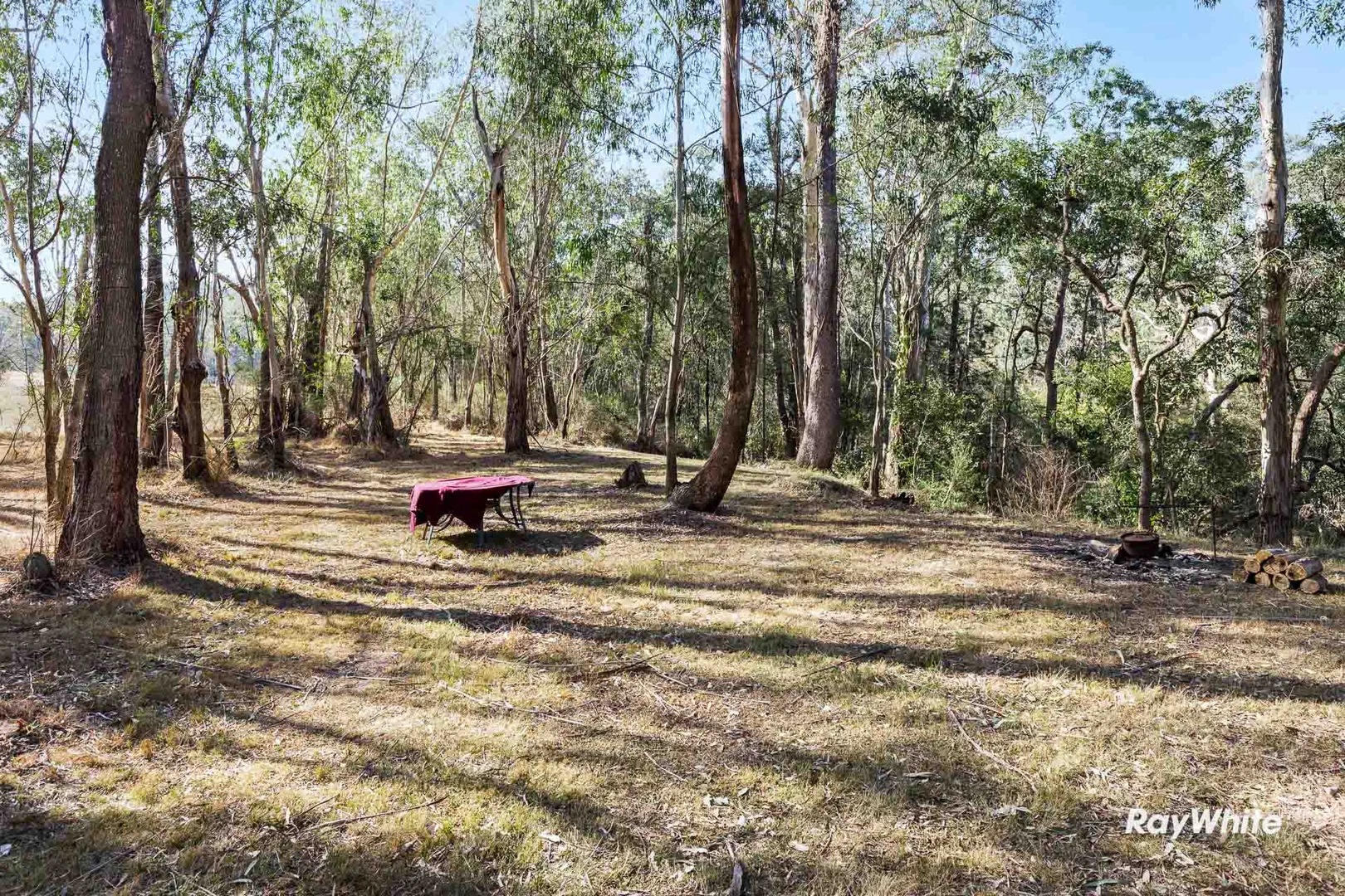 Additional image 21 of 420 Larrys Mountain Road, Moruya NSW 2537