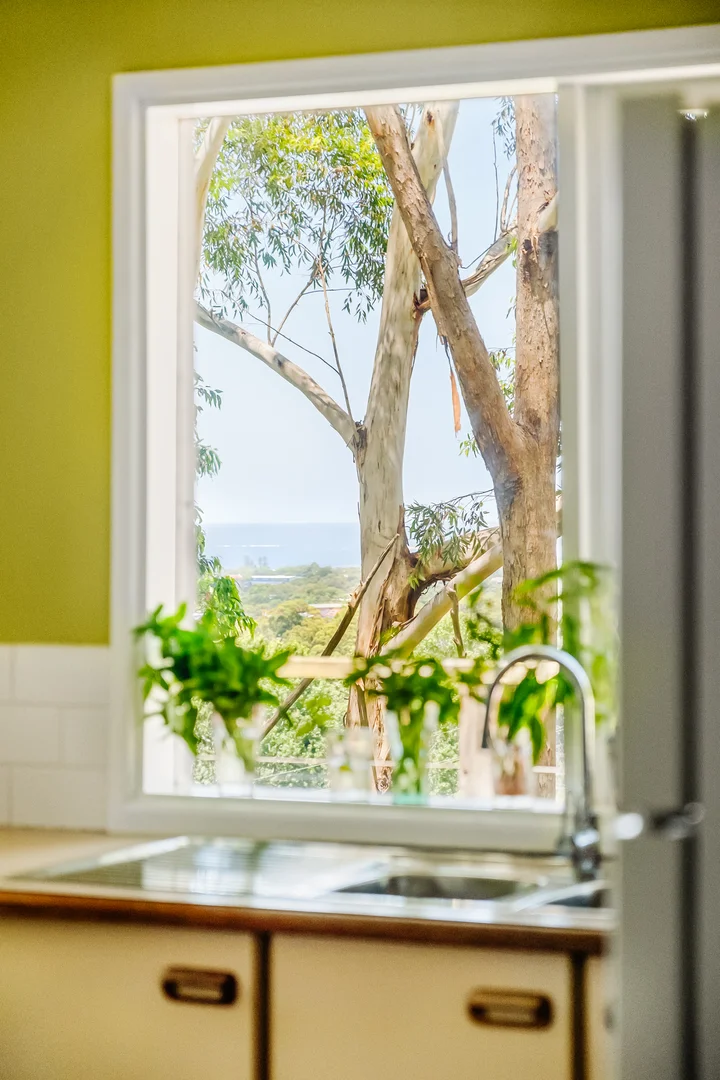 Additional image 15 of 31 Kanangra Drive, Thirroul NSW 2515