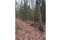 Additional image 40 of 1742 Addison Back Rd, Addison, NY, 14801