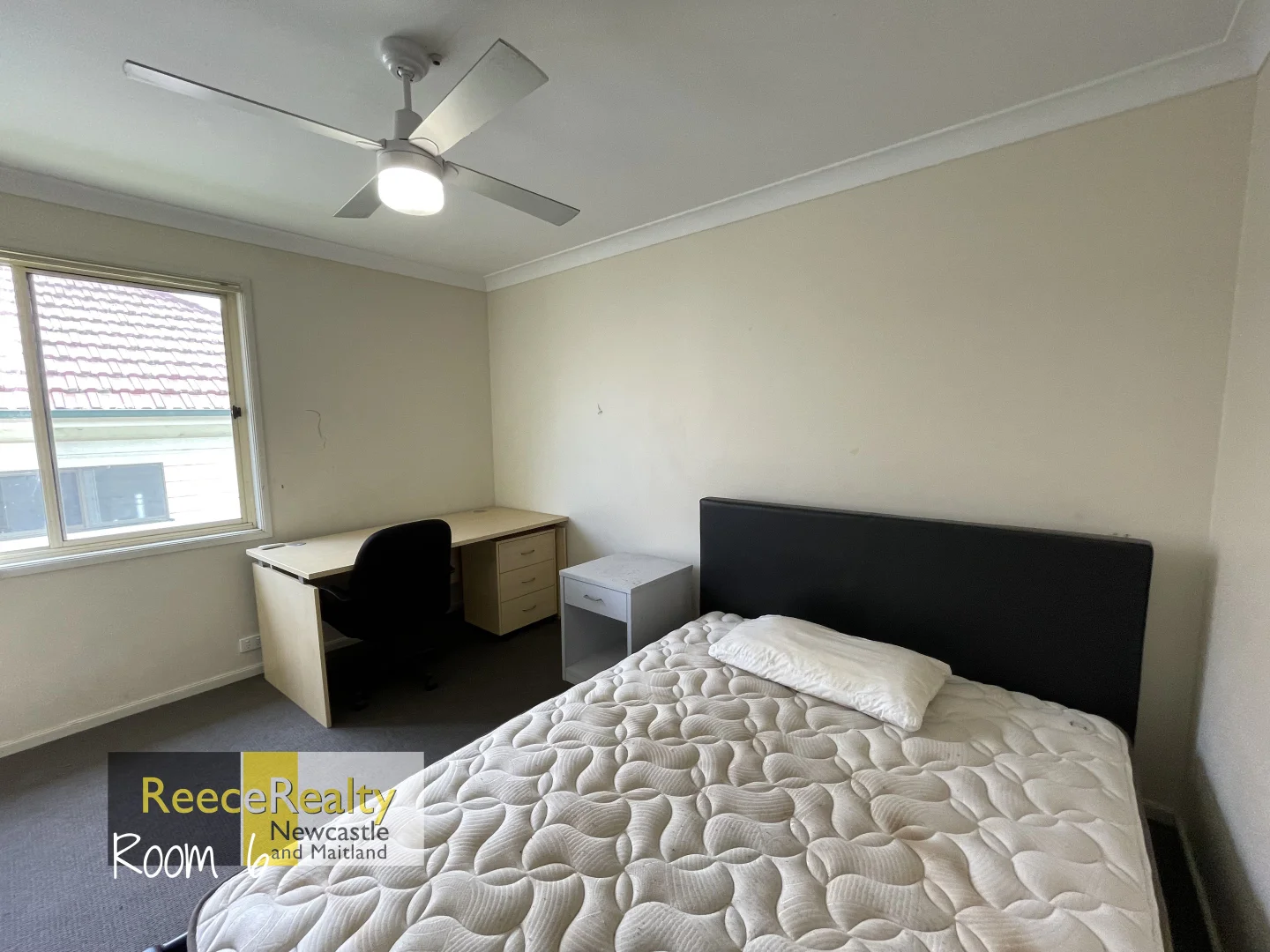 Additional image 5 of 296b Sandgate Road, Shortland NSW 2307