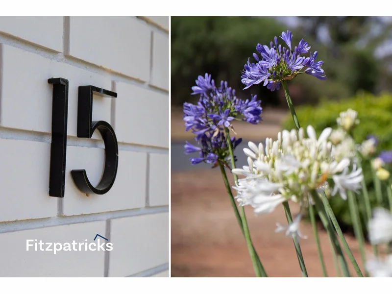 Additional image 2 of 15 Grinton Avenue, Ashmont NSW 2650