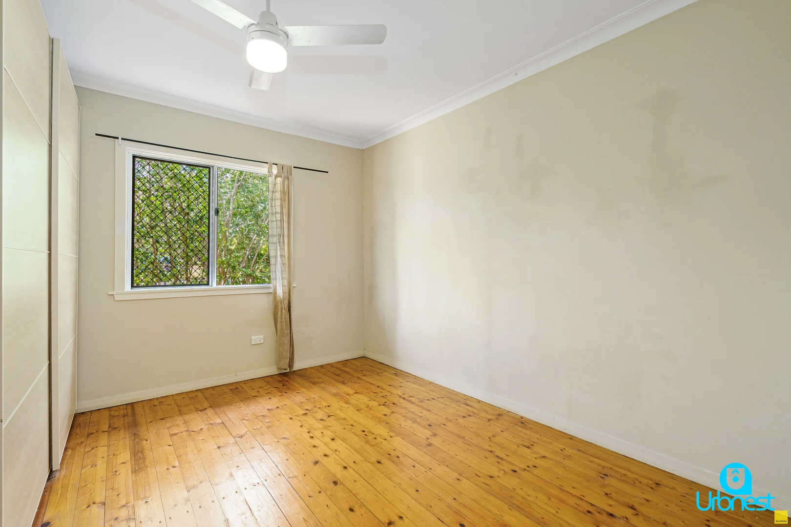 Additional image 5 of 41 Macalister St, Carina Heights QLD 4152