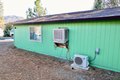 Additional image 19 of 470 S Meadow Ln, Hayfork, CA, 96041