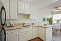 Additional image 12 of 20440 Anza Ave, Torrance, CA, 90503