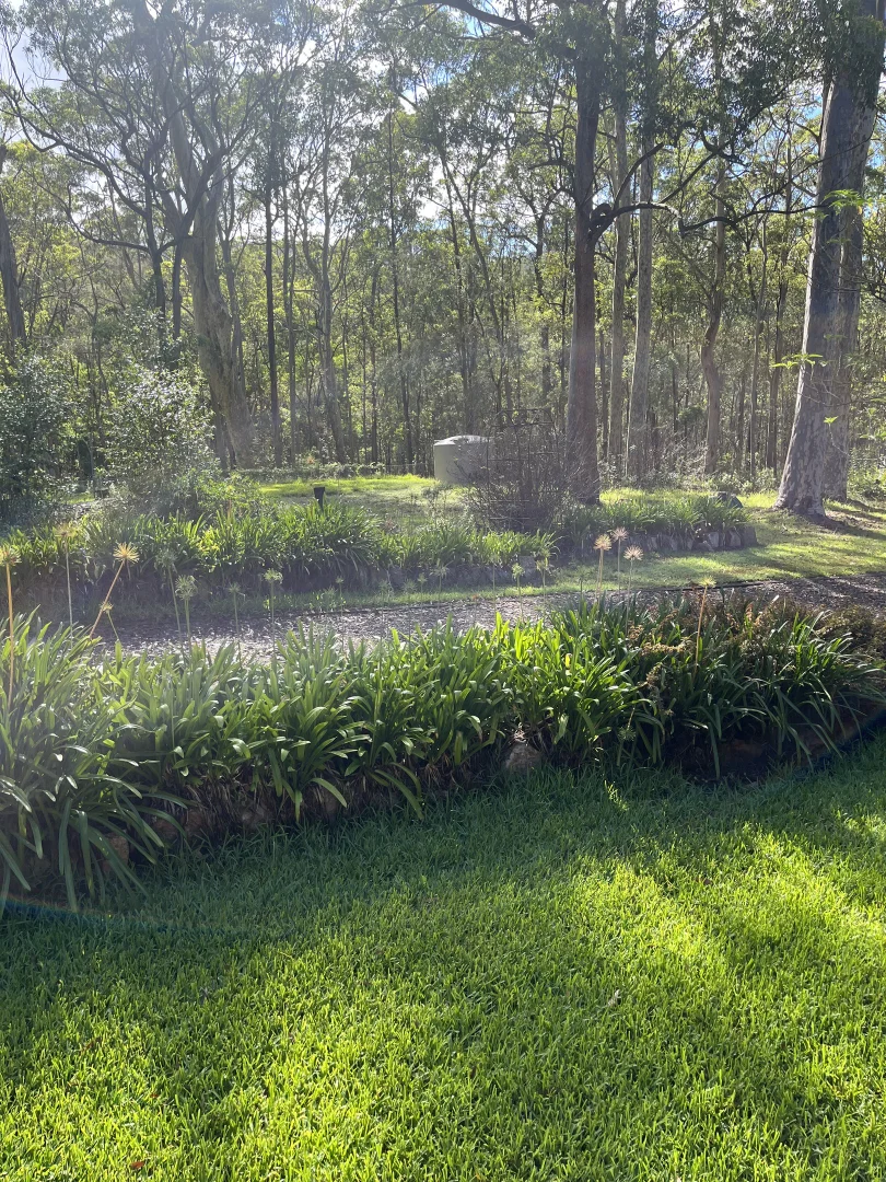 Additional image 6 of 261 Violet Hill Road, Boolambayte NSW 2423