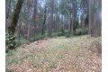 Additional image 42 of 9427 Grizzly Flat Rd, Grizzly Flats, CA, 95636