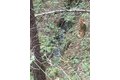 Additional image 43 of 9427 Grizzly Flat Rd, Grizzly Flats, CA, 95636
