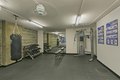 Additional image 11 of 860 N Dewitt Pl Unit 1-1, Chicago, IL, 60611
