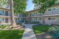 3366 Mount Diablo Blvd, Lafayette, CA, 94549