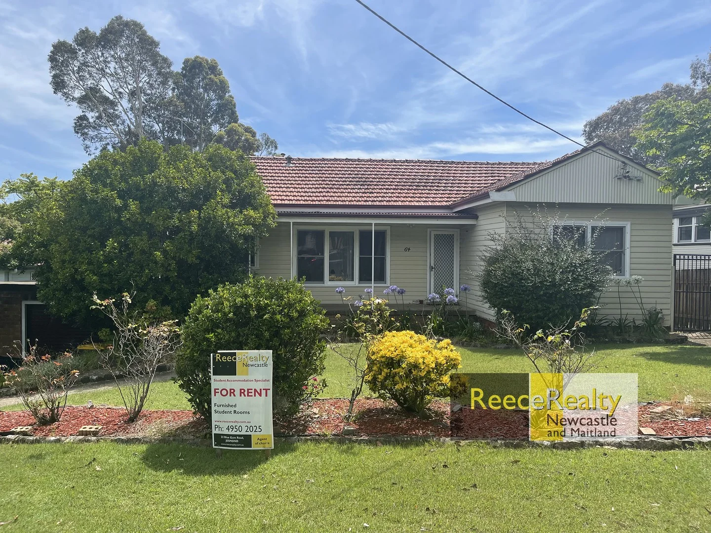 64 Moore Street, Birmingham Gardens NSW 2287
