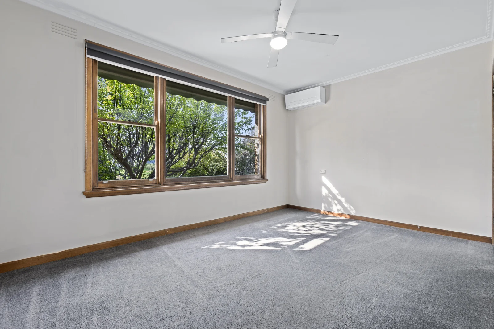 Additional image 6 of 38 Digby Avenue, Belmont VIC 3216