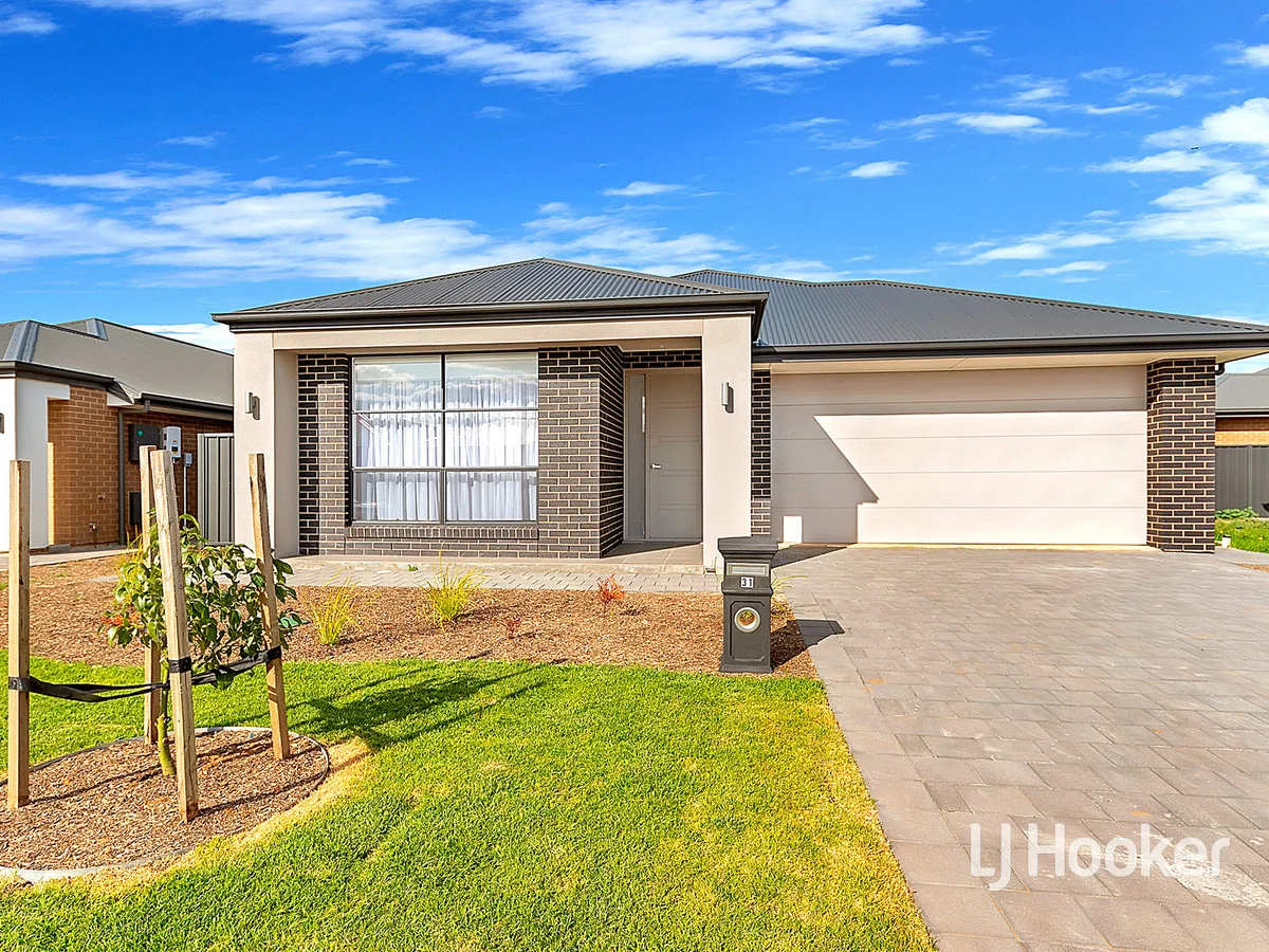31 Merlot Road, Angle Vale SA 5117