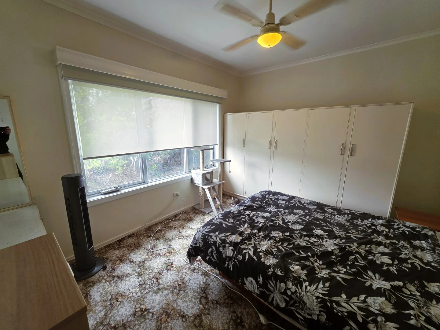 Additional image 4 of 81 Venn Avenue, Bordertown SA 5268