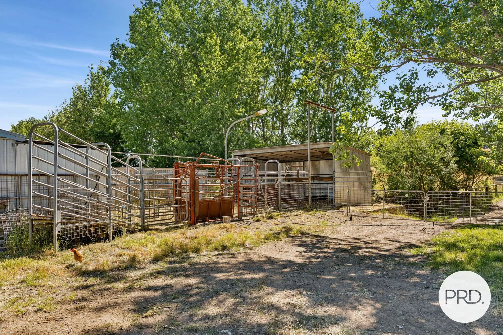 Additional image 15 of 1349 Bungendore Road, Bywong NSW 2621