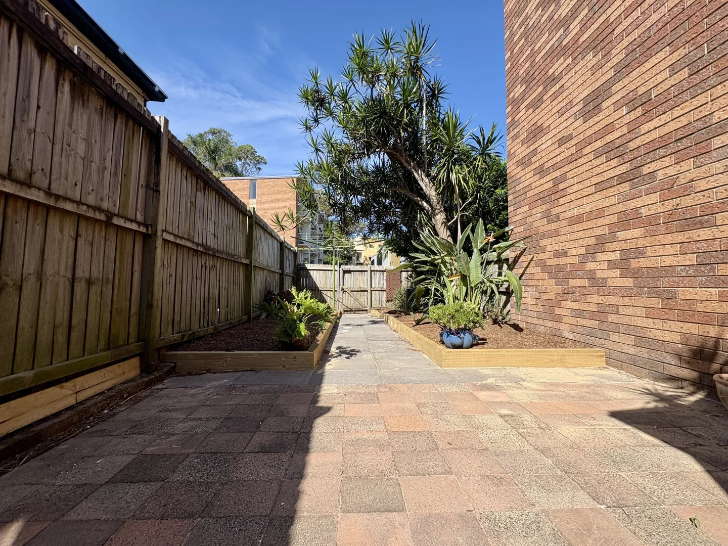 Additional image 6 of 24 Bucknell Street, Newtown NSW 2042