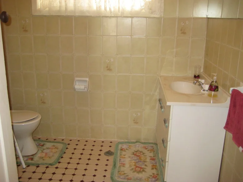Additional image 6 of 36 Goodwill Street, Condobolin NSW 2877