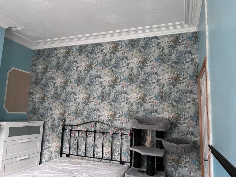 Room in a Shared House, Coedcae St, CF11, N1 7GU photo 2