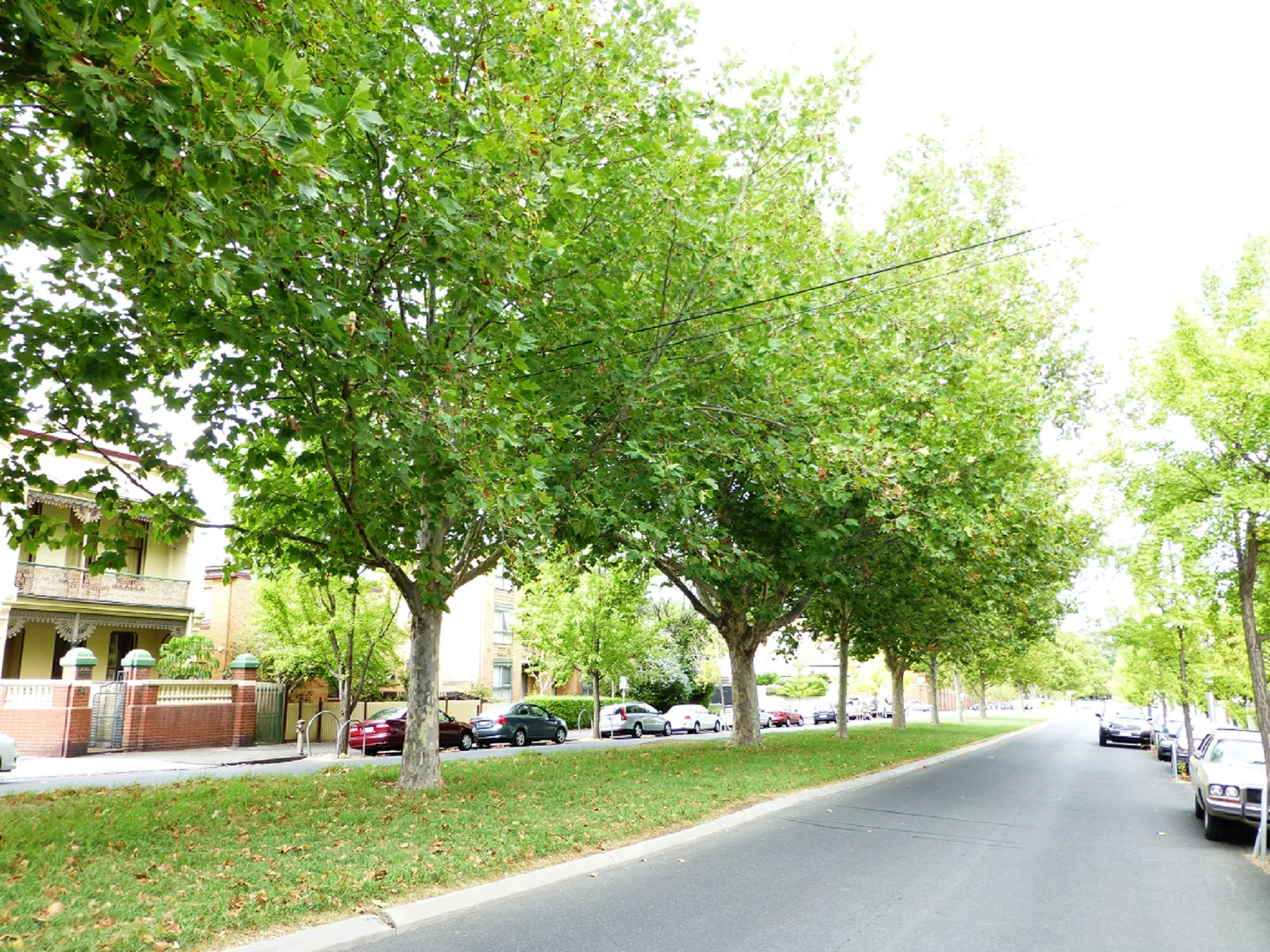 Additional image 11 of 1/85 Park Drive, Parkville VIC 3052