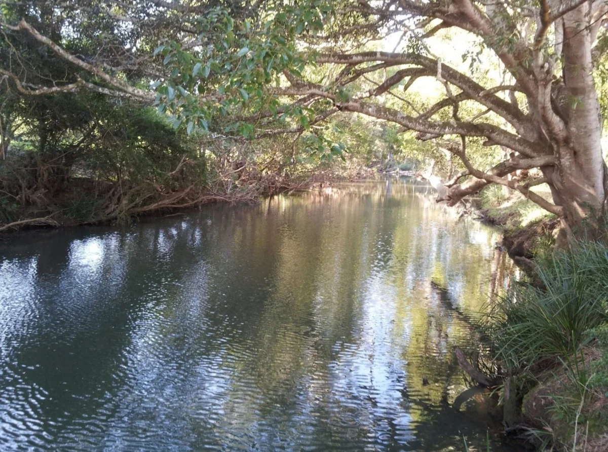 Additional image 12 of 130a Austinville Road, Austinville QLD 4213