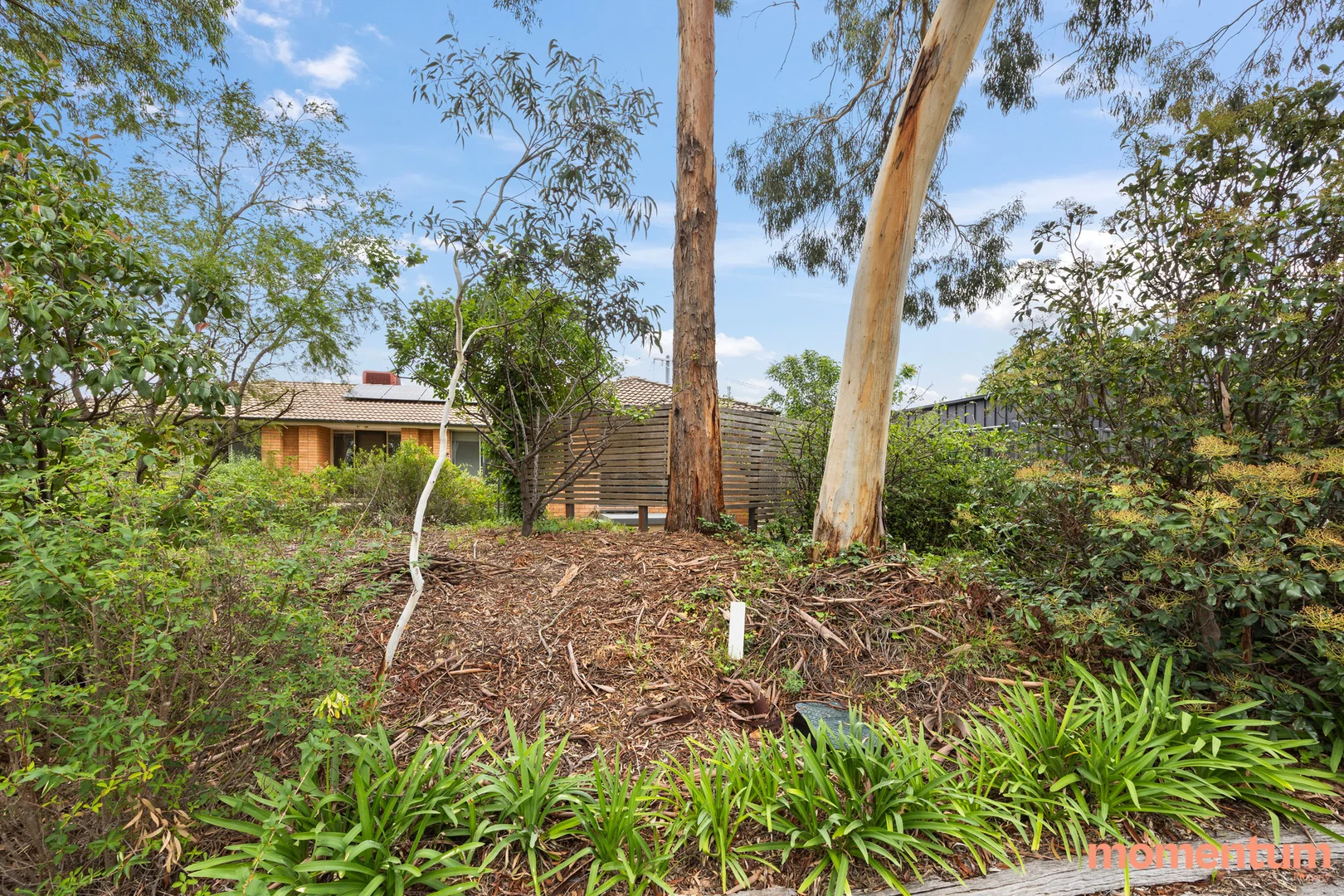 Additional image 14 of 11B Sheaffe Street, Holder ACT 2611