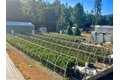 Additional image 5 of 470 S Meadow Ln, Hayfork, CA, 96041