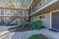 3366 Mount Diablo Blvd, Lafayette, CA, 94549 photo 3