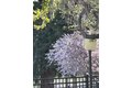 Additional image 33 of 7332 Stonedale Dr, Pleasanton, CA, 94588