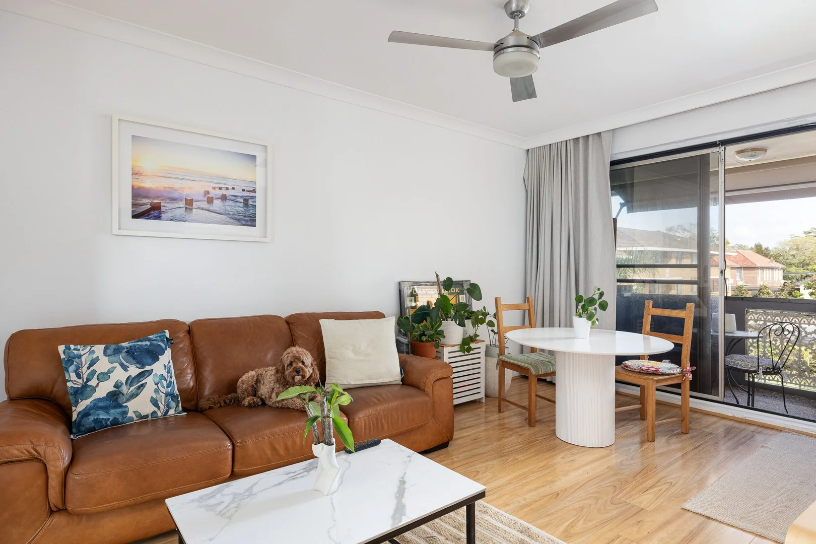 35/71-79 Avoca Street, Randwick NSW 2031
