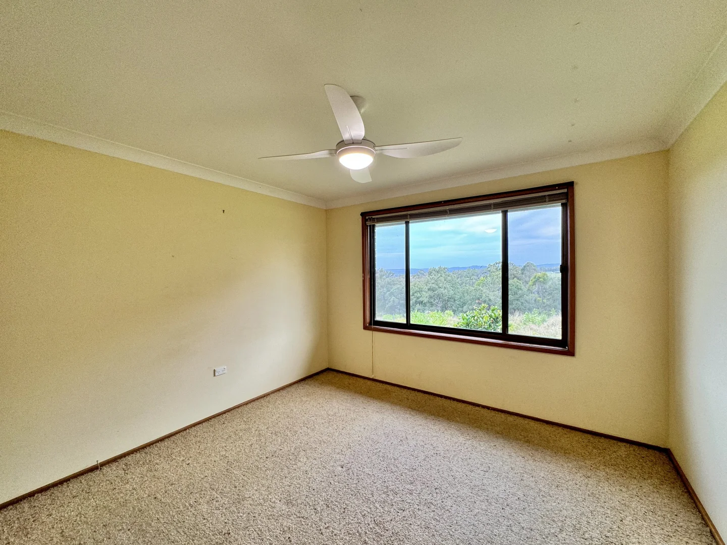 Additional image 8 of 419 Tinonee Road, Mondrook NSW 2430