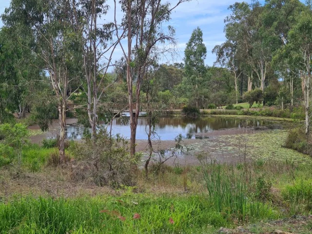 Additional image 15 of 9 Iris Road, Kirkwood QLD 4680