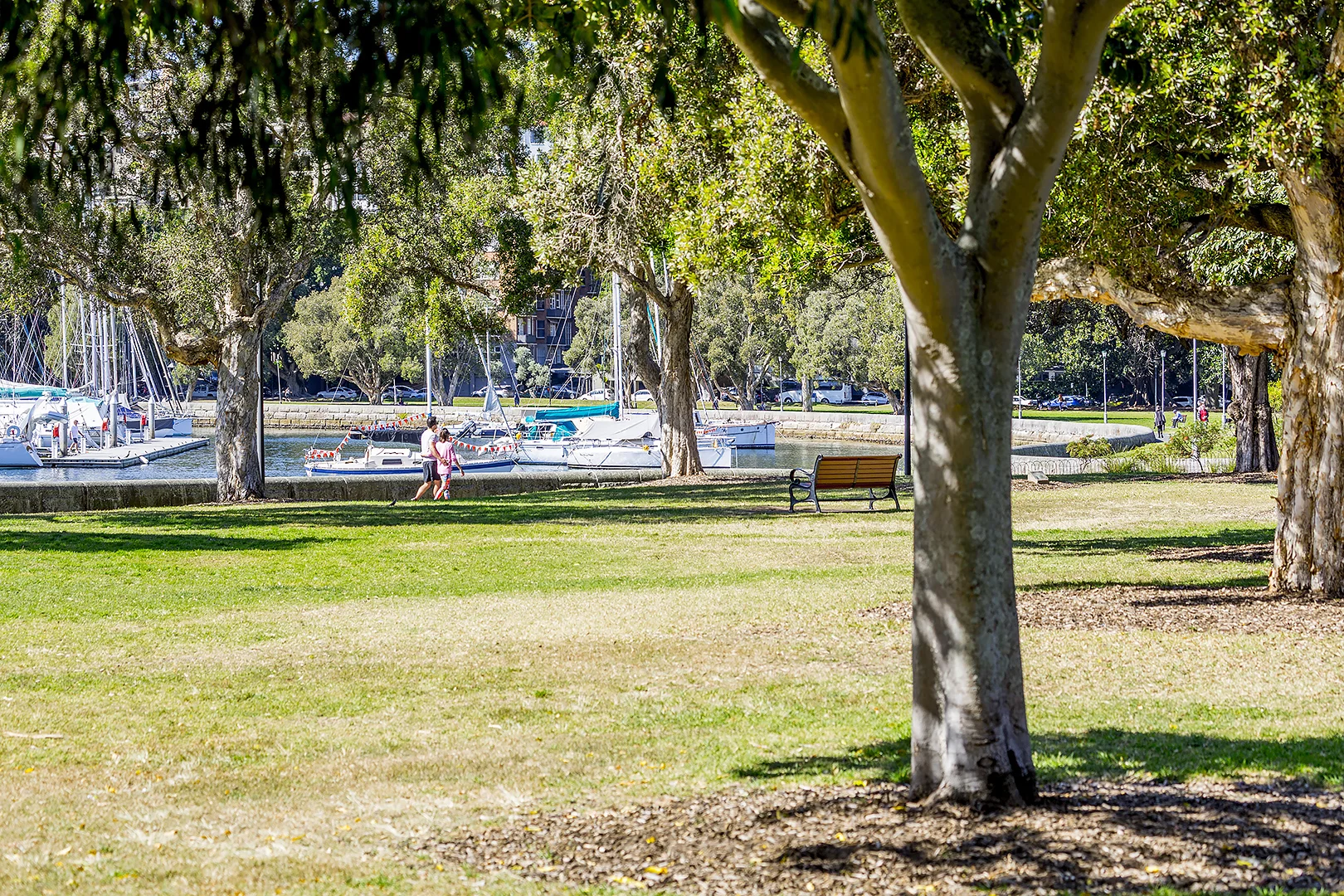 Additional image 13 of 20 Waratah Street, Rushcutters Bay NSW 2011