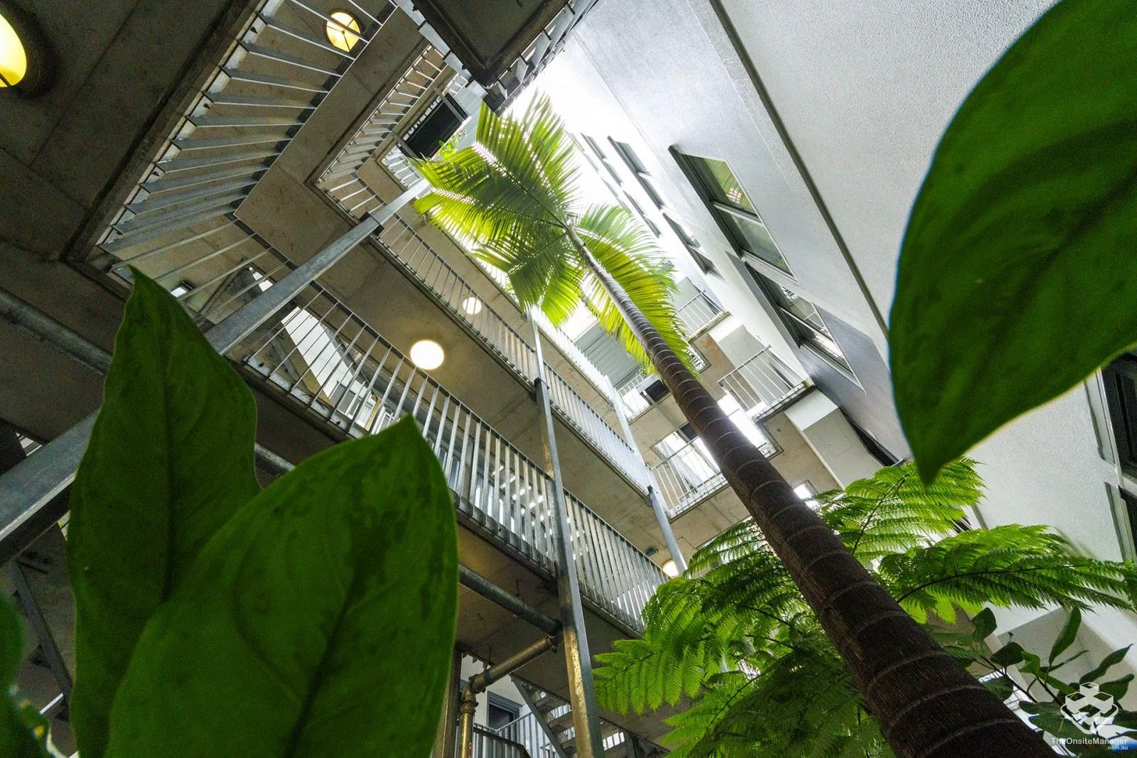 Additional image 14 of ID:21172365/41 Robertson Street, Fortitude Valley QLD 4006