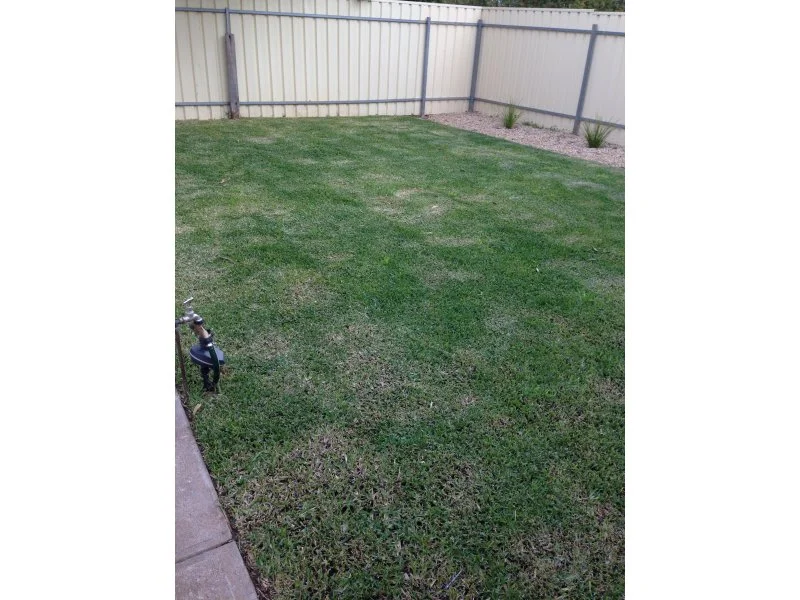Additional image 11 of 29 Ballard Street, Elizabeth East SA 5112