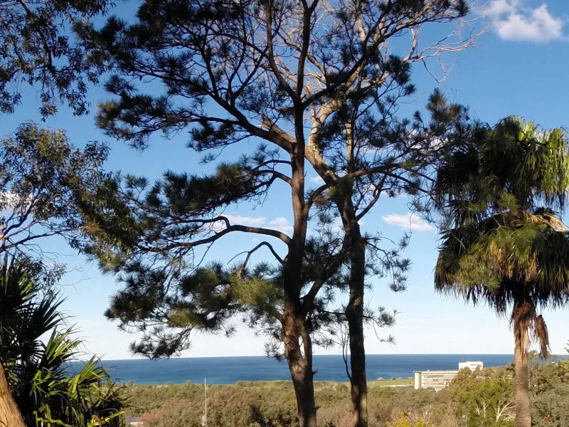Additional image 2 of 46 Bertana Crescent, Mona Vale NSW 2103