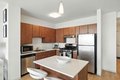 Additional image 5 of 345 E Wacker Dr Unit 1-1, Chicago, IL, 60601