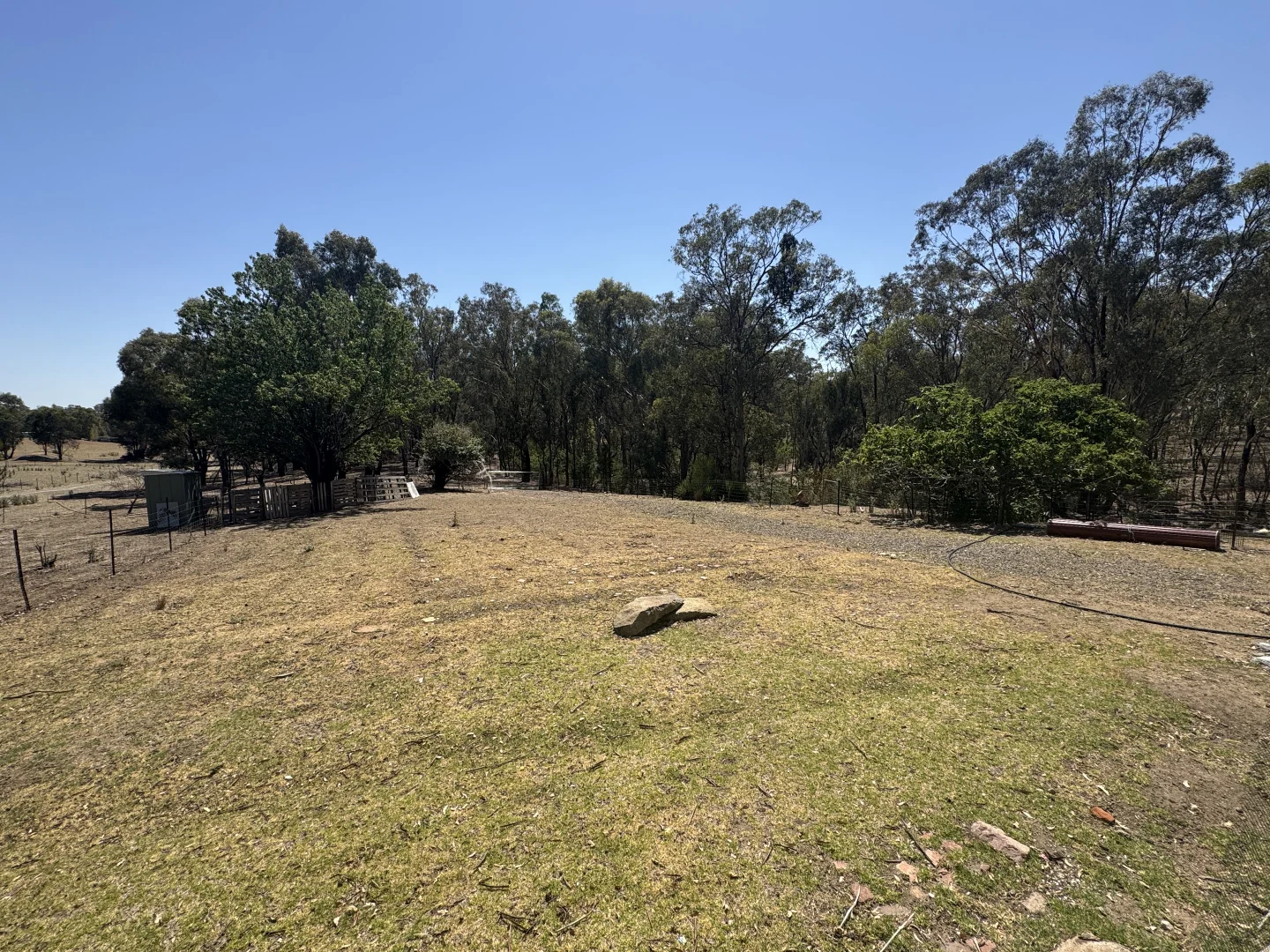 Additional image 4 of 255 Milvale Road, Young NSW 2594