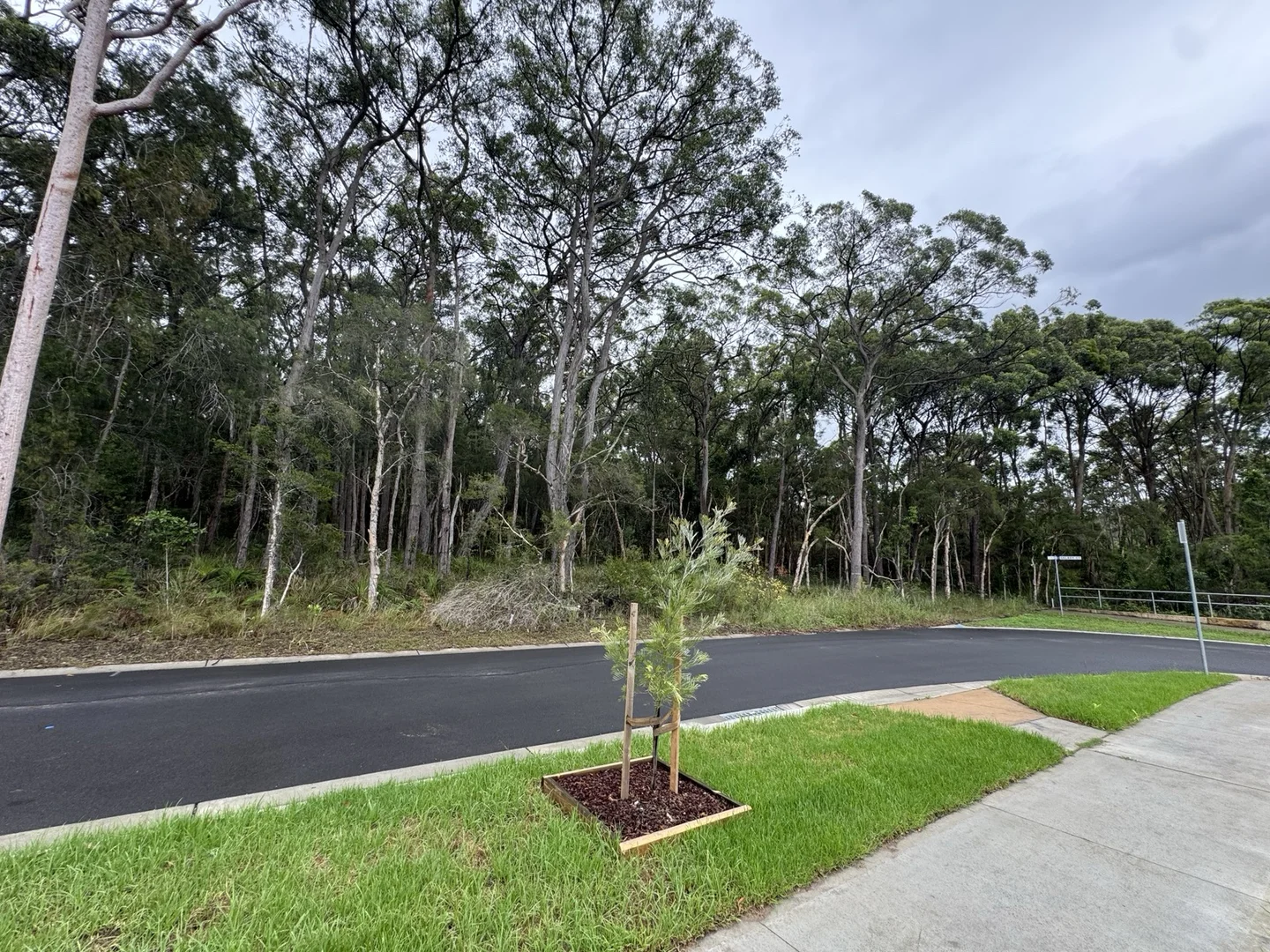 Additional image 3 of 22 Celestial Drive, Warnervale NSW 2259