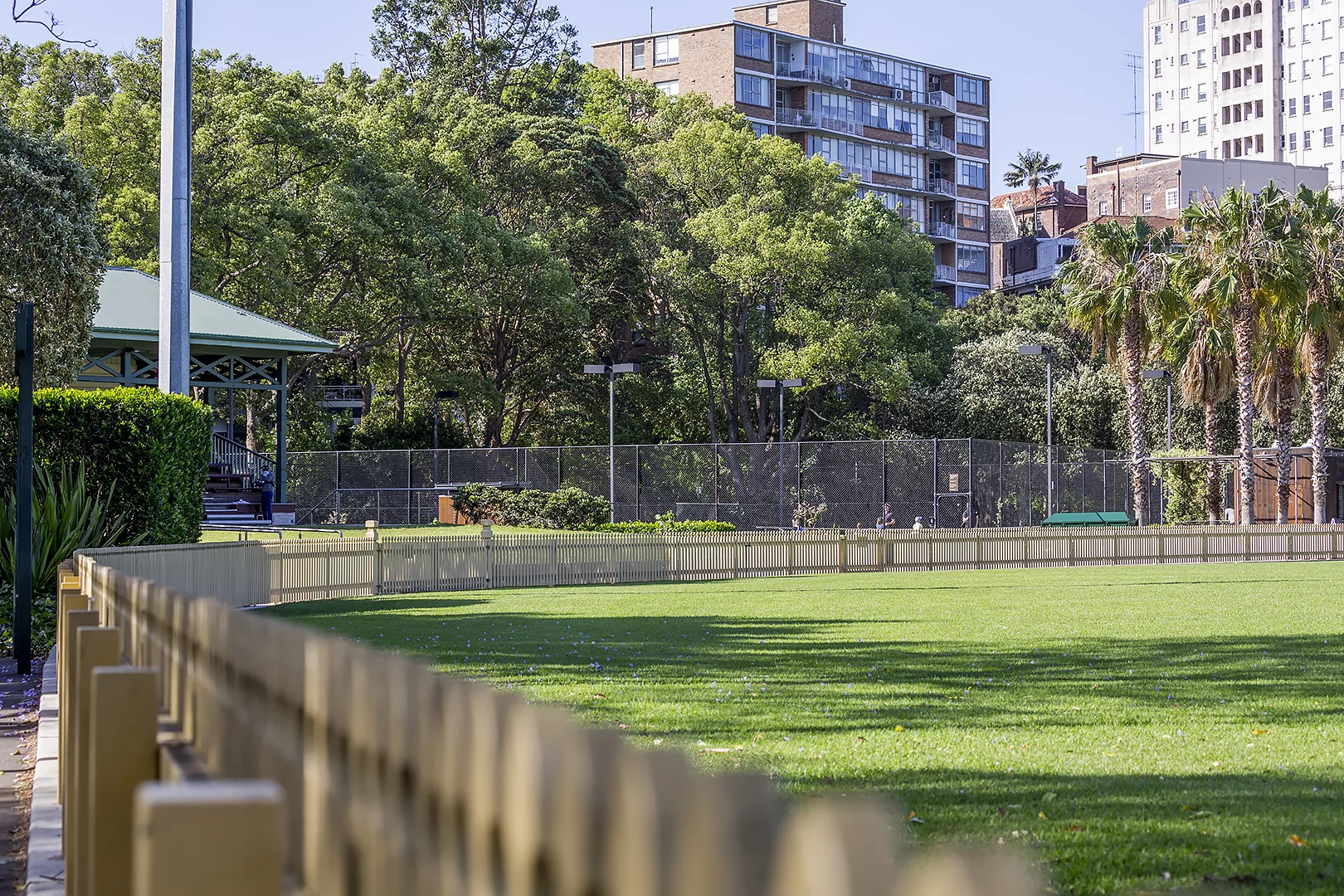 Additional image 12 of 20 Waratah Street, Rushcutters Bay NSW 2011
