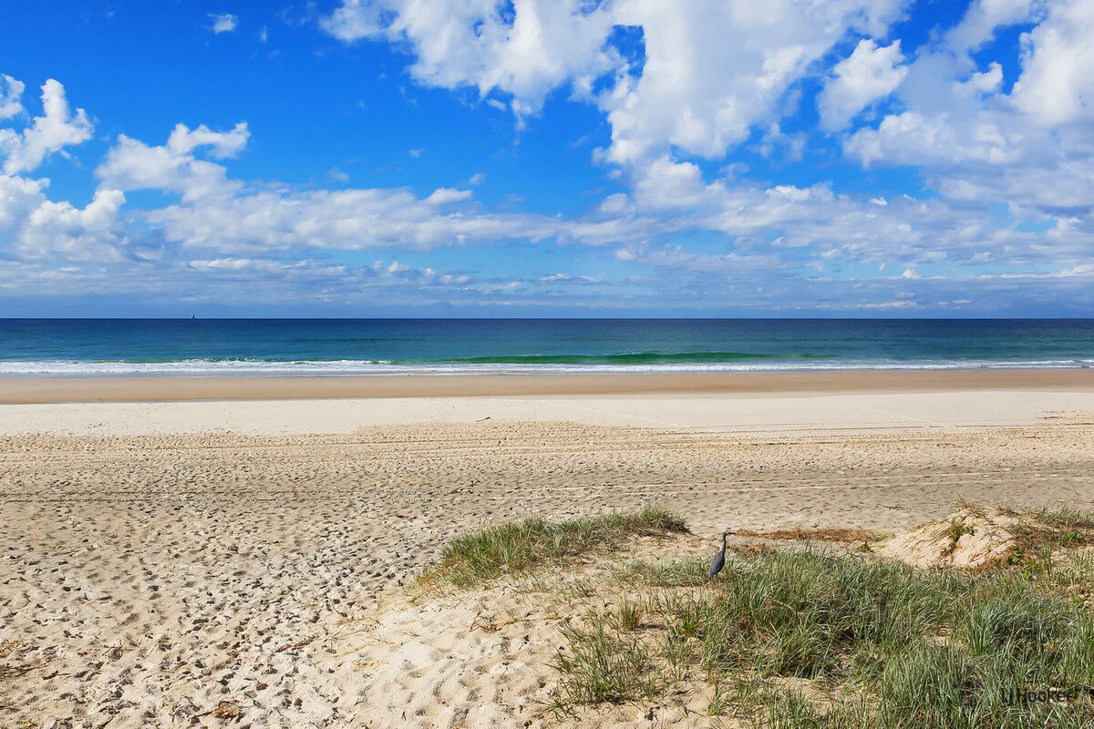 Additional image 11 of 1611/10 Fifth Avenue, Palm Beach QLD 4221