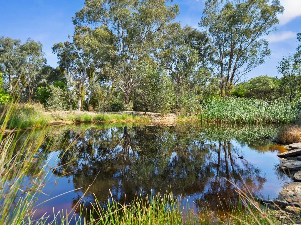 Additional image 17 of 110 Ford Drive, Mansfield VIC 3722