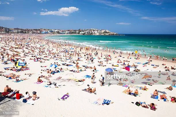 Additional image 13 of 4/331 Bondi Road, Bondi NSW 2026