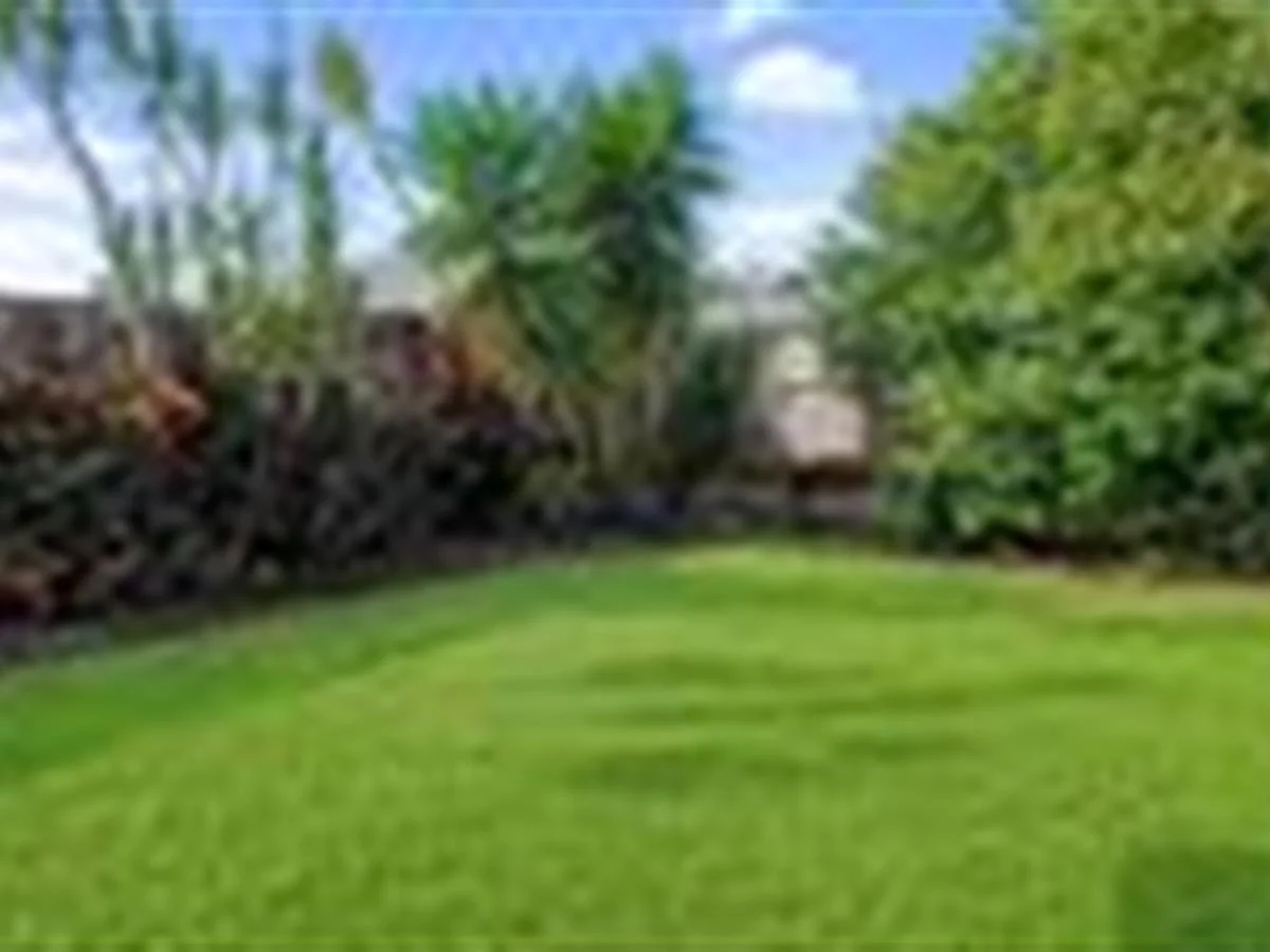 Additional image 6 of 3 Teak Court, Mount Sheridan QLD 4868