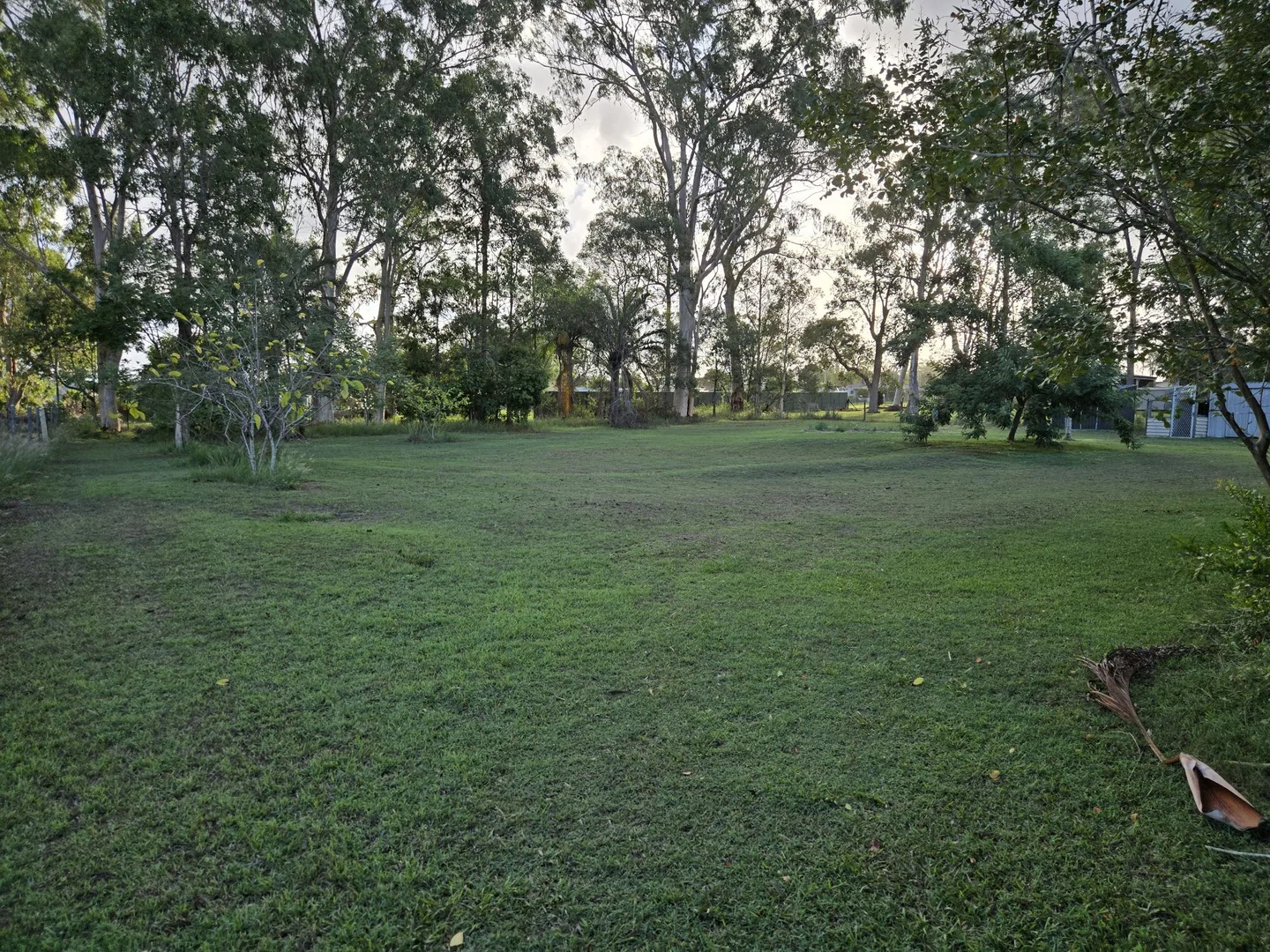 Additional image 13 of 11-13 Merluna Road, Park Ridge South QLD 4125