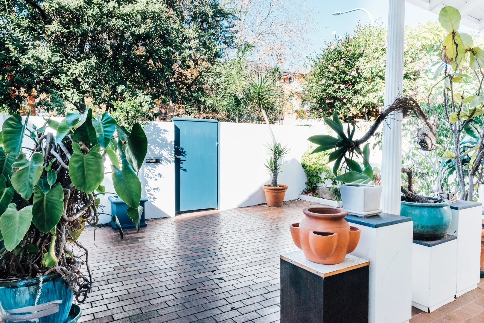 Additional image 4 of 56 Denham Street, Bondi NSW 2026