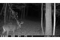 Additional image 46 of 1742 Addison Back Rd, Addison, NY, 14801