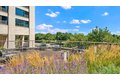 Additional image 17 of 1130 S Michigan Ave, Chicago, IL, 60605