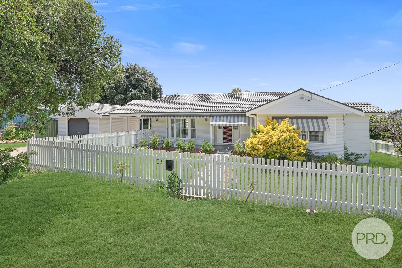 53 Nowland Ave, Quirindi NSW 2343