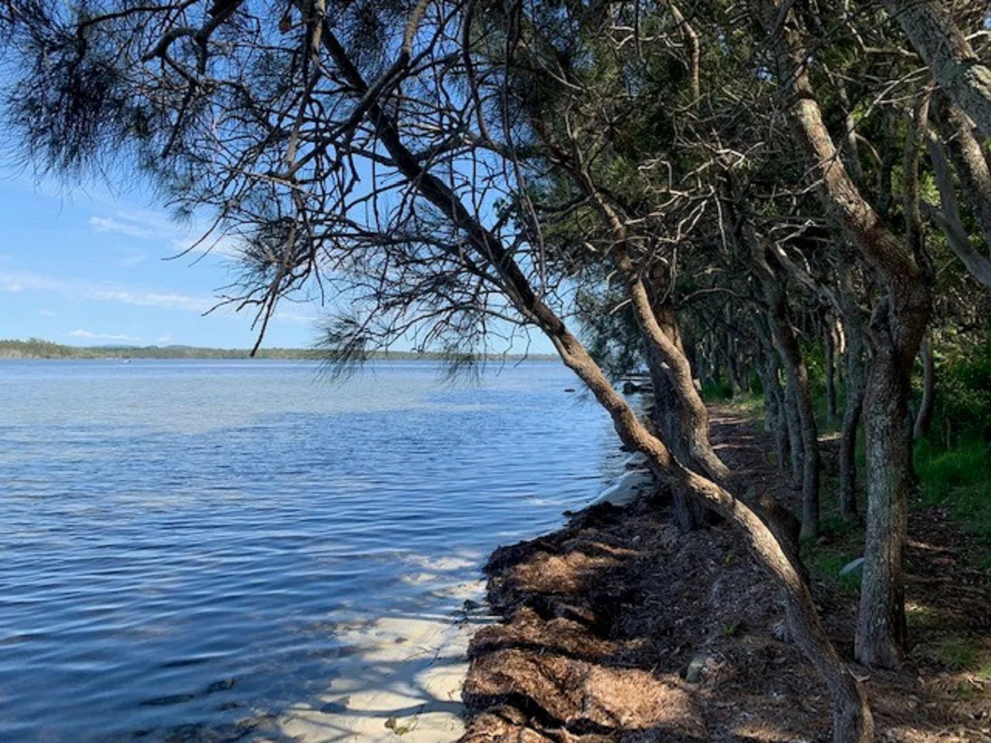 Additional image 12 of 93 Greenpoint Drive, Green Point NSW 2428