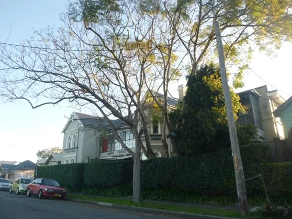22-24 Samdon Street, Hamilton NSW 2303